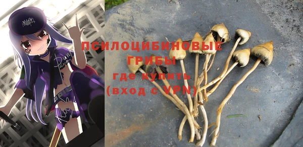 молекула духа Белоозёрский