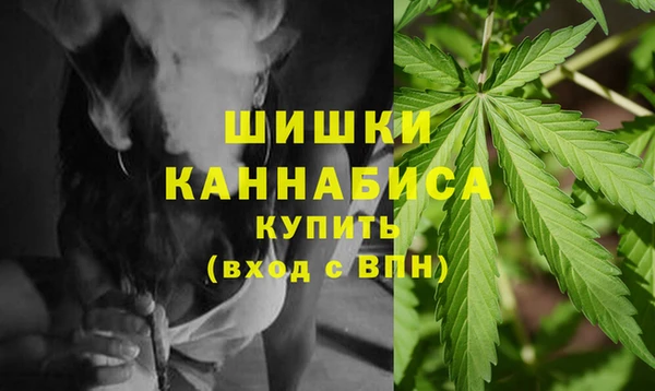 индика Балахна