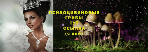 меф Беломорск